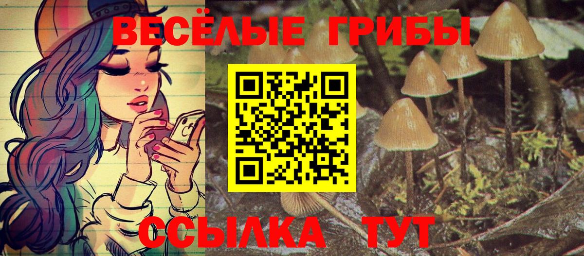 Шебекино  Галлюциногенные грибы мухоморы  Вход с VPN  Галлюциногенные грибы мицелий 