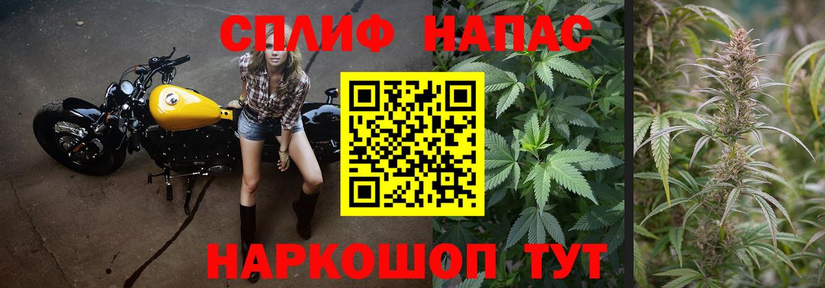 Бошки Шишки LSD WEED  Каннабис планчик  Вход с VPN  Канабис Amnesia  Шебекино  Шишки марихуана тримм 